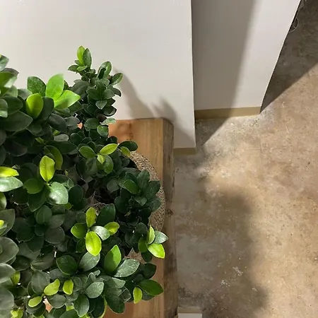 Casa Noal Bed & Breakfast 4*