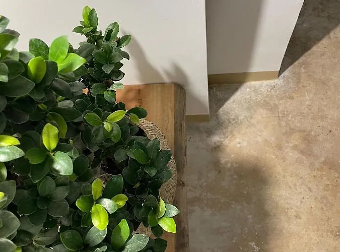 Casa Noal ベッド・アンド・ブレックファスト 4*